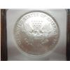 Image 2 : 2007 AMERICAN SILVER EAGLE NGC MS69