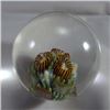 Image 2 : Lot 102: Contemporary Handmade. Jerry Kelly. 1-7/16". M 9.9