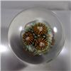 Image 3 : Lot 102: Contemporary Handmade. Jerry Kelly. 1-7/16". M 9.9