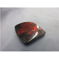 41 CT Free Form Ammolite Gemstone