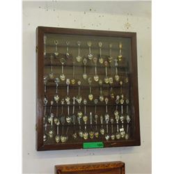 50 Collector spoons in wall display cabinet
