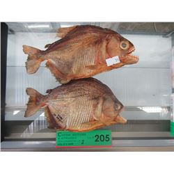 2 Preserved Brazilian Piranhas
