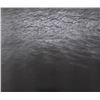 Image 1 : Vija Celmins, Ocean, Poster