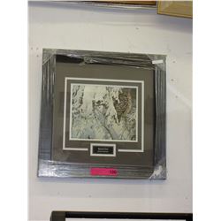 Robert Bateman print: "Barred Owl"
