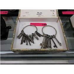 2 Rings of skeleton keys