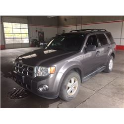 2009 Ford Escape XLT