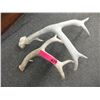 Image 1 : 2 Animal antlers