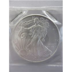 2010 US Mint Silver Walking Liberty Coin