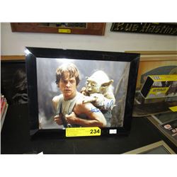 Autographed Mark Hamill photograph