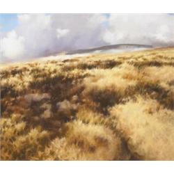 Trevor Geoghegan (b.1946), COMING UP TO THE GAP, signed lower right; inscribed and dated [199...