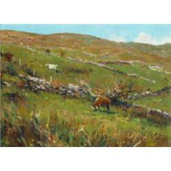 Paul Kelly (b.1968), CATTLE GRAZING, COUNTY KERRY, signed, inscribed and dated [2000] on reve...