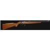 Image 1 : !NEW! MOSSBERG 802 PLINKSTER 22 LR 884110382184