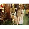 Image 1 : Life size hanging human skeleton…