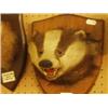 Image 1 : Stuffed and mounted badger's head…