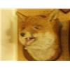 Image 1 : Stuffed and mounted fox's head…
