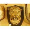 Image 1 : Stuffed and mounted leopard's head…
