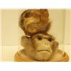 Image 1 : Two stuffed monkeys' heads in glass domed case…