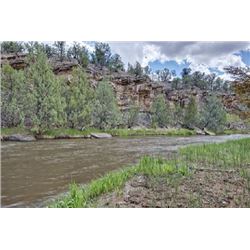 WINDING WATER RANCH PARCEL / TRACT 1,269.008 ACRES +/-, Live Water Property - Absolutely Gorgeous!