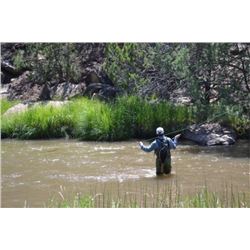 RIVER'S EDGE RANCH PARCEL / TRACT 95.857 ACRES +/-, Beautiful Little Private Ranch Along the Pecos R