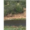 Image 11 : RIVERVIEW II PARCEL / TRACT 21.446 ACRES +/-, Rolling Water - Hard to believe!!  The properties offe