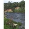 Image 14 : RIVERVIEW II PARCEL / TRACT 21.446 ACRES +/-, Rolling Water - Hard to believe!!  The properties offe