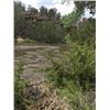 Image 9 : RIVERVIEW II PARCEL / TRACT 21.446 ACRES +/-, Rolling Water - Hard to believe!!  The properties offe