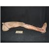Image 1 : SEVERED FULL ARMATURED LEG