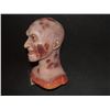 Image 2 : A NIGHTMARE ON ELM STREET FREDDY KRUGER PAINT TEST BUST HEAD