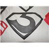 Image 3 : SUPERMAN MAN OF STEEL COMPLETE SET OF CHEST GLYPHS