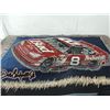 Image 1 : DALE EARNHARDT JR BLANKET THROW