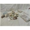 Image 1 : BOX LOT ASSORTED SEA SHELLS