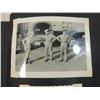 Image 10 : VINTAGE PHOTOGRAPH ALBUM