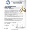 Image 3 : 21.70ctw Multi Gemstone and Diamond Earrings - 18KT Yellow Gold
