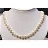 Image 1 : FRESHWATER PEARL NECKLACE