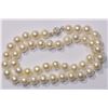 Image 4 : FRESHWATER PEARL NECKLACE