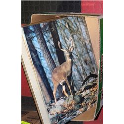 3 ASSORTED PICTURES - 2 FRAMED