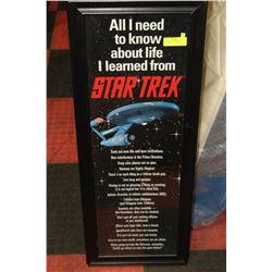 1993 STAR TREK  FRAMED POSTER