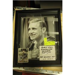 BOBBY HULL - THE GOLDEN JET 60 GOALS