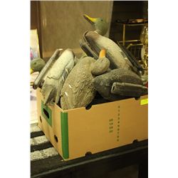 SET OF 11 ITALIAN MADE DUCK DECOYS