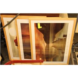3 FRAMED SCENERY PICTURES