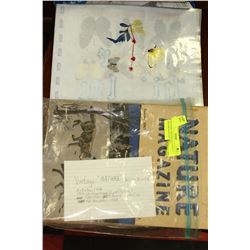 NATURAL JAPANESE BUTTERFLY SPECIMENS & NATURE