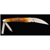 Image 2 : Case "Seahorse Whittler" 3-blade Knife