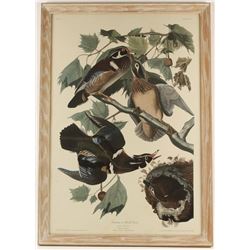 Fine Art Print