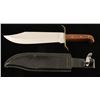 Image 1 : Large Stainless Bowie Knife