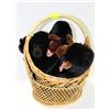 Image 1 : BASKET WITH 3 BEANY BUDDY GORILLAS INCLUDING