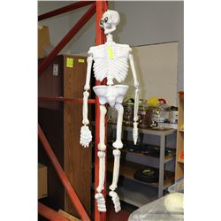 SKELETON
