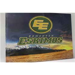 LED CANVAS PICS ( TAKES BATTERY)  EDMONTON ESKIMO