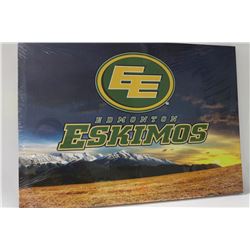 LED CANVAS PICS ( TAKES BATTERY)  EDMONTON ESKIMO