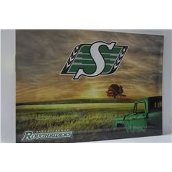 LED CANVAS PICS ( TAKES BATTERY)  ROUGH RIDERS