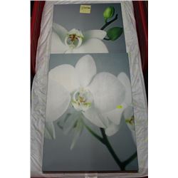 PAIR OF SHOWHOME FLOWER PICTURES